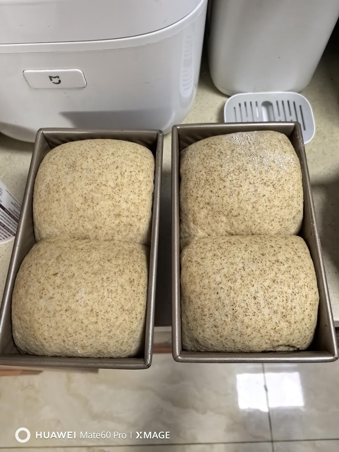50%全麦吐司｜低糖低脂，吃起来不像是吃全麦的全麦吐司！