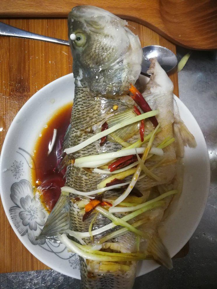 萌萌咚的家宴做的清蒸鱼桂鱼鲈鱼多宝鳊鱼均适用