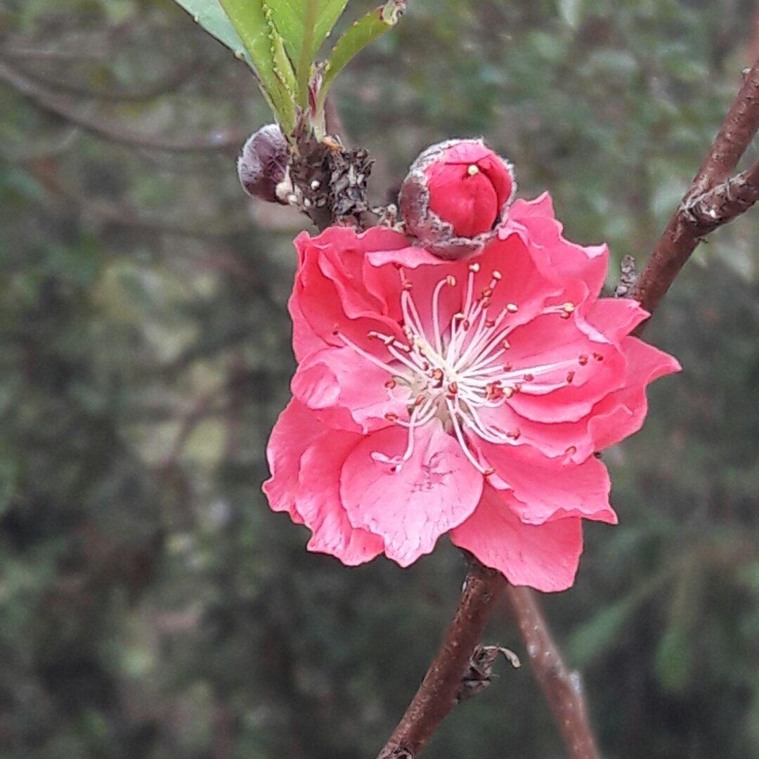 手机用户8418_yu7q