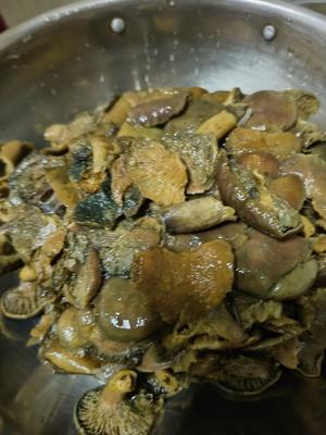 【五花肉炖重阳菌(寒菌)的做法步骤图】麦芽糖小姐_下厨房