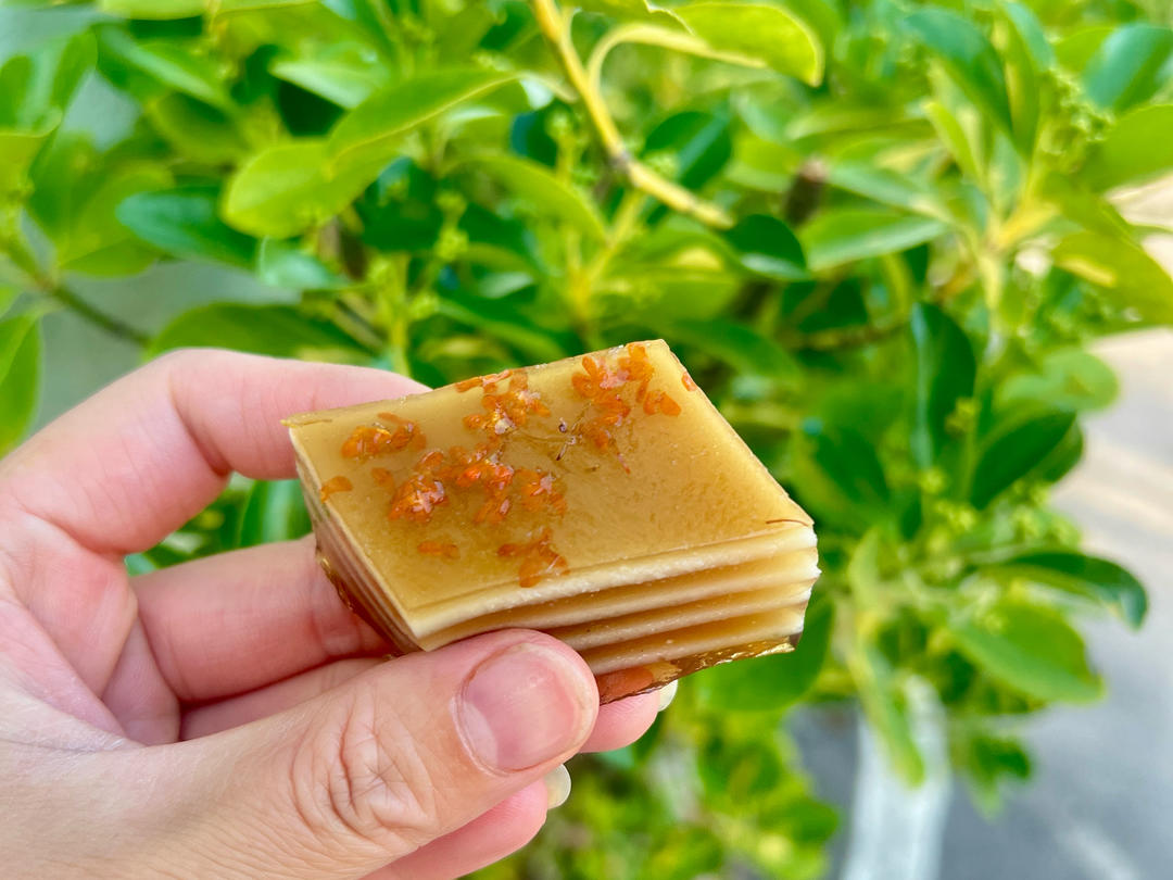 Q弹椰汁千层糕（马蹄糕）