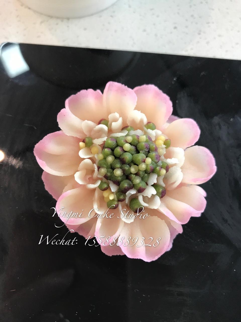 英子手作韩花蛋糕