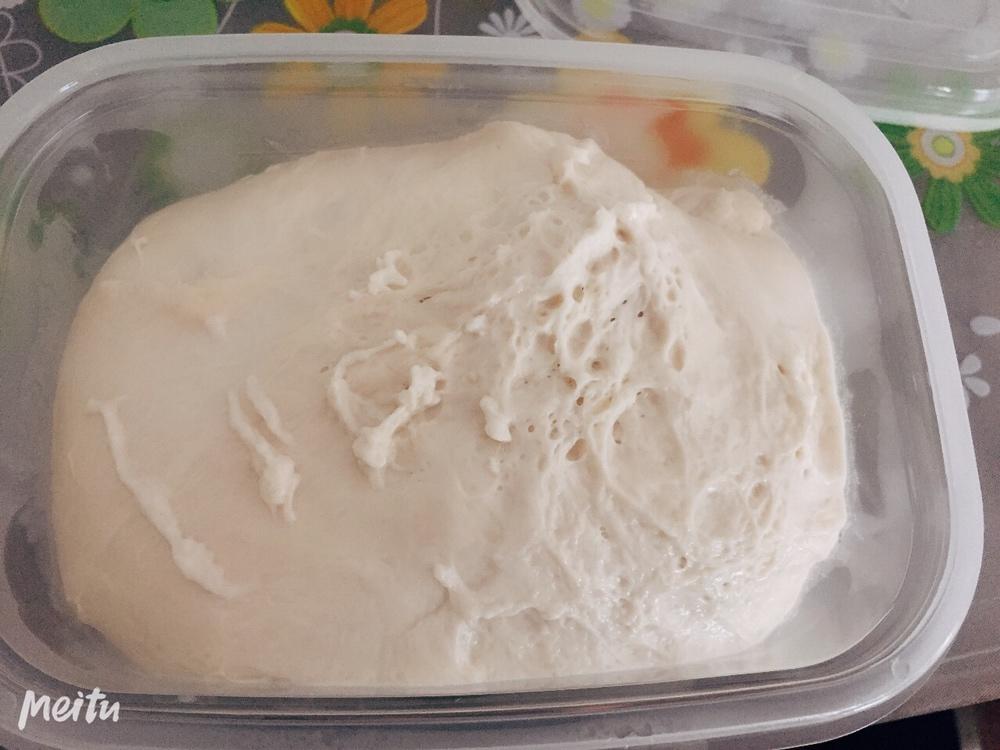 老面酵头 Bread Starter