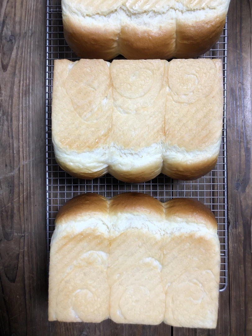 【北海道吐司】体验经典-妃娟100%中种，冷藏冰种的美味