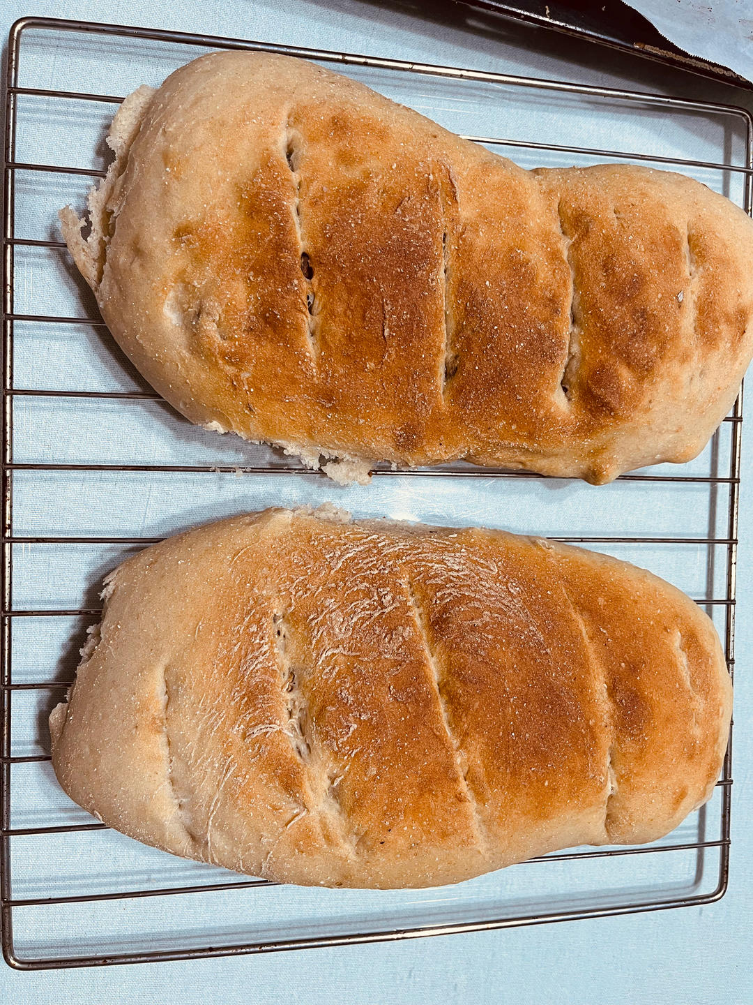 最简单的欧包发面法·只需5分钟搅一搅❗️真不揉面