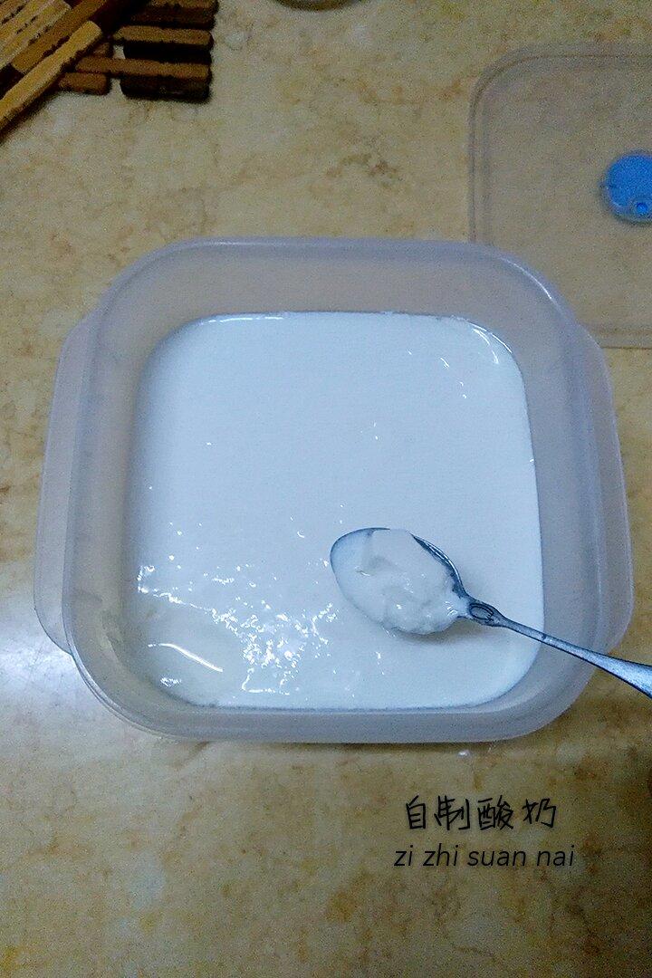 【超级浓稠版】 用烤箱自制酸奶——自己做的酸奶才是好酸奶
