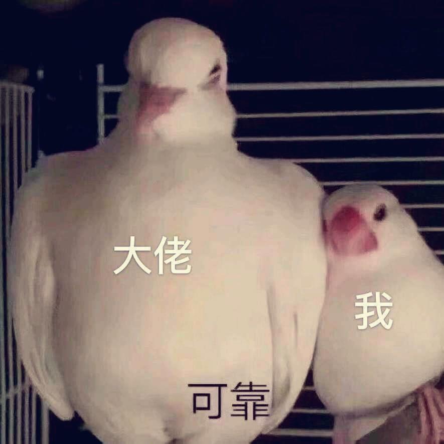 小JQQQ