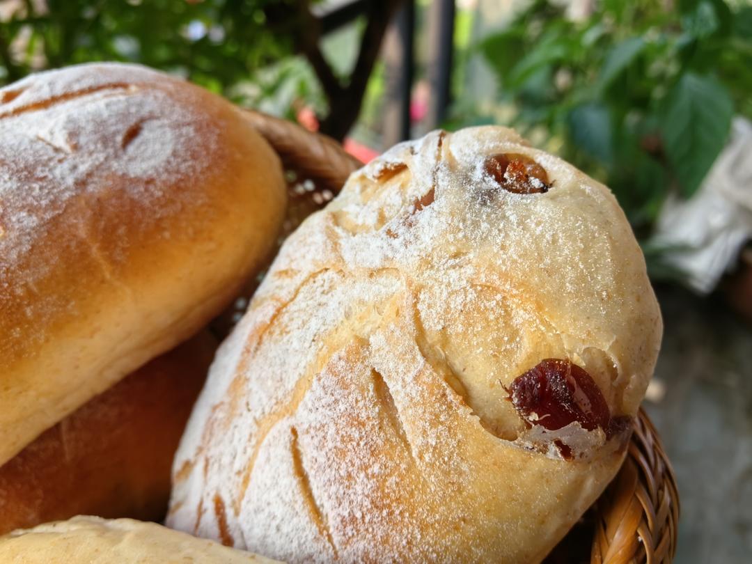 无限次回做的软欧【桂圆全麦面包】