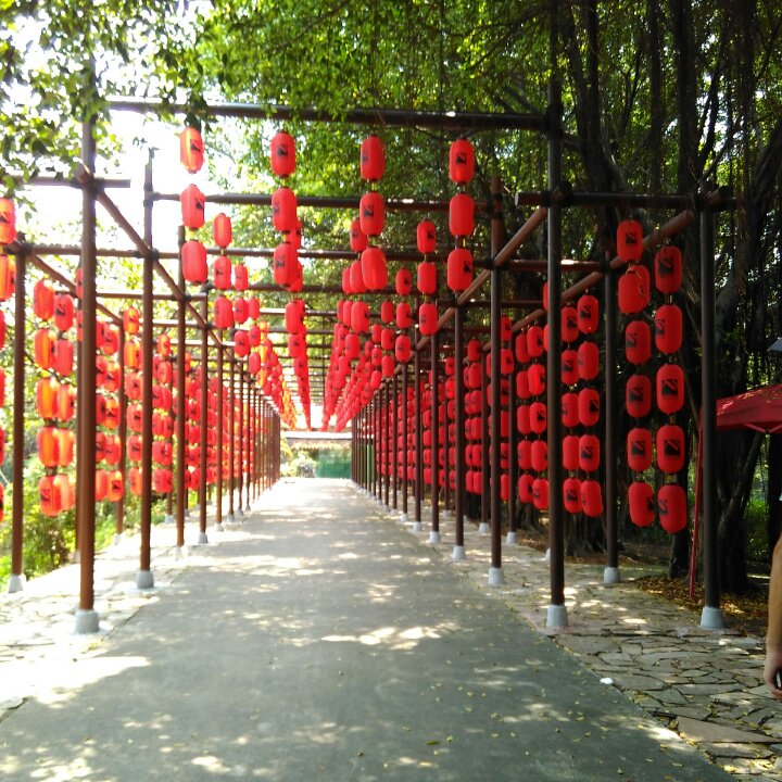绵绵味道