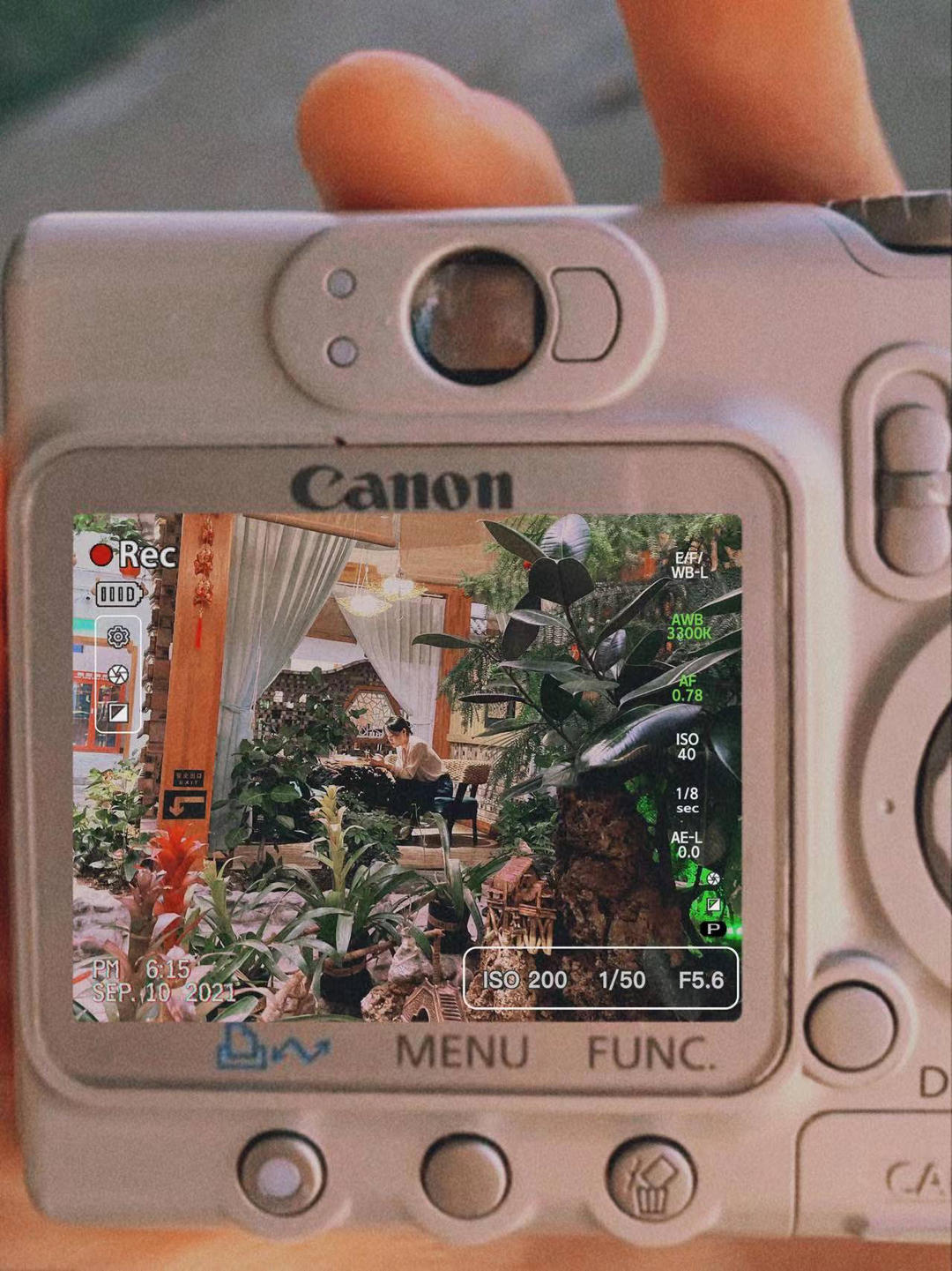 琴子qz