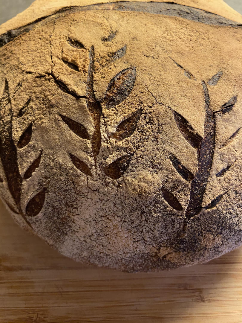 天然酵母养成记（黑麦版）