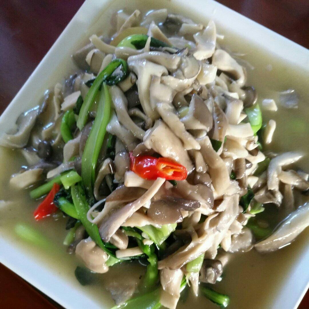 平菇炒青菜