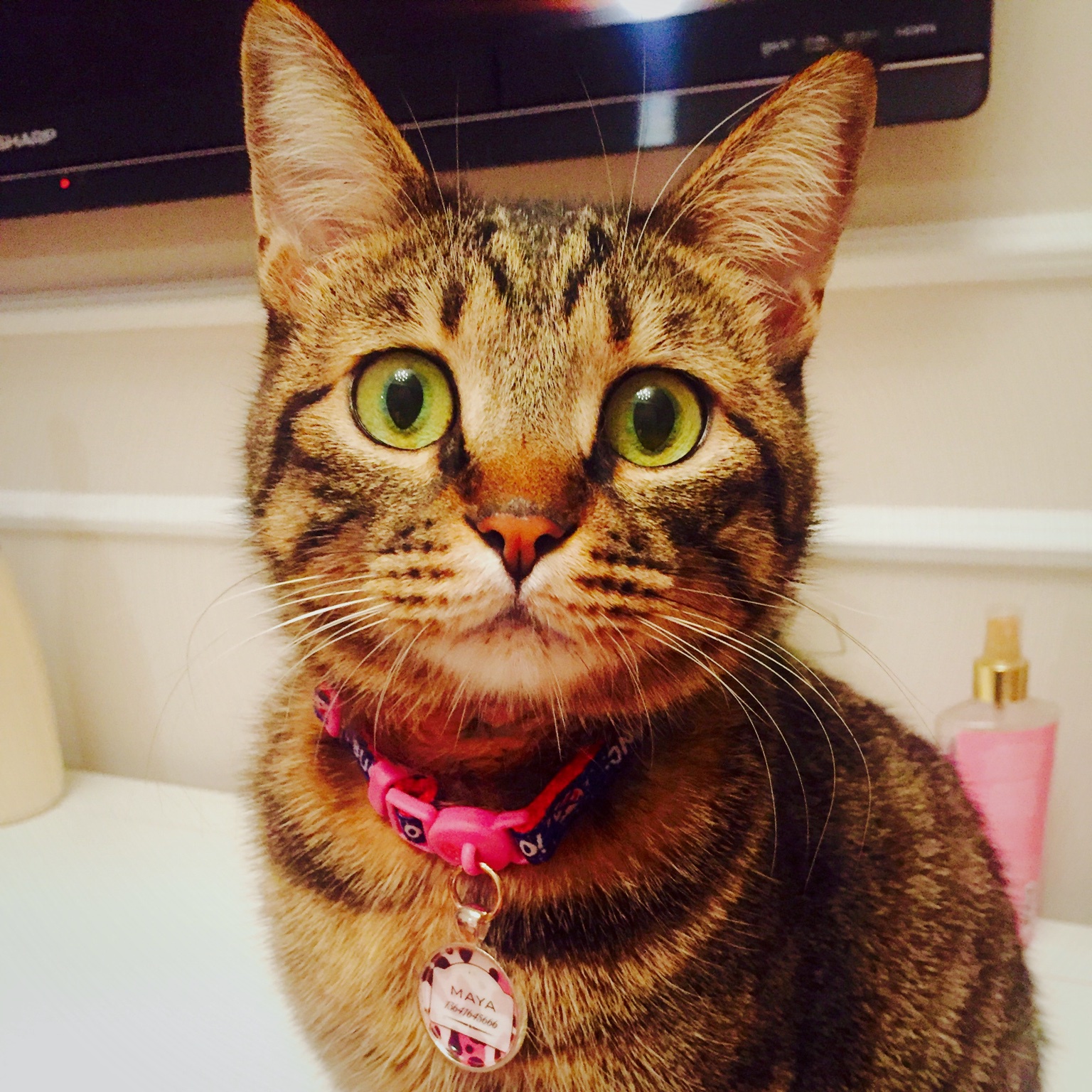 Gigi吉吉几几叽叽的厨房