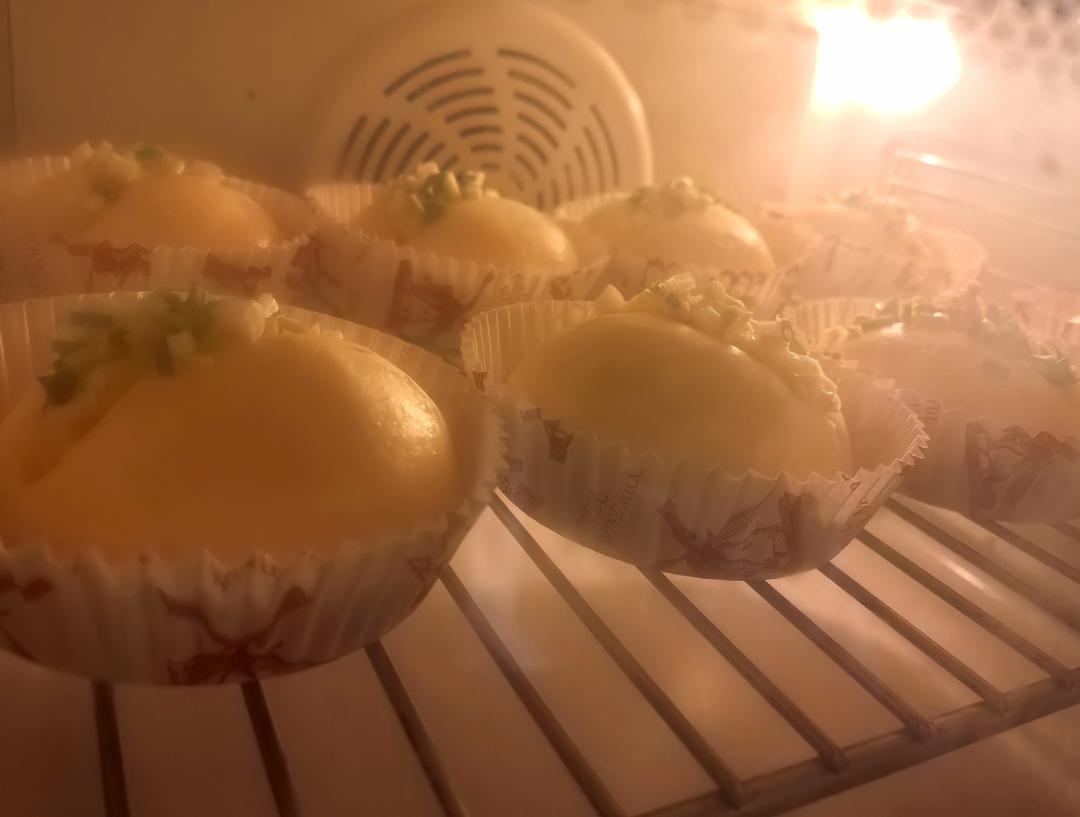 一次发酵，满屋飘香巨好吃的蒜香面包