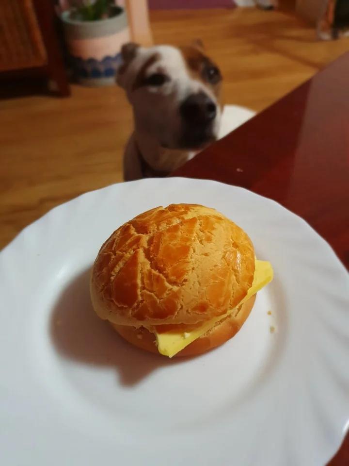 从小吃到大的【港式菠萝包】/ 冰火菠萝油详细步骤