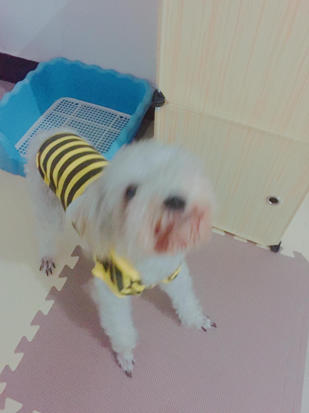 RERE-GUO