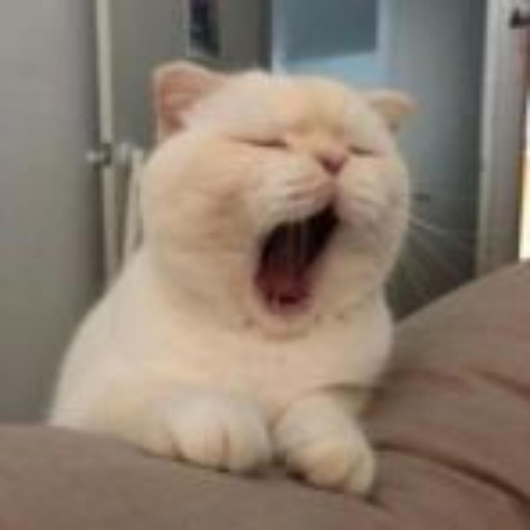 春山信子