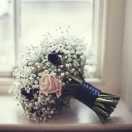 宝宝爱吃小饼干