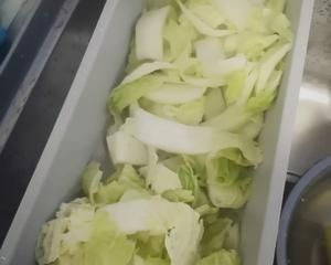 大白菜五花肉炖豆腐粉条的做法 步骤1