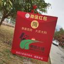 厨房虾仔