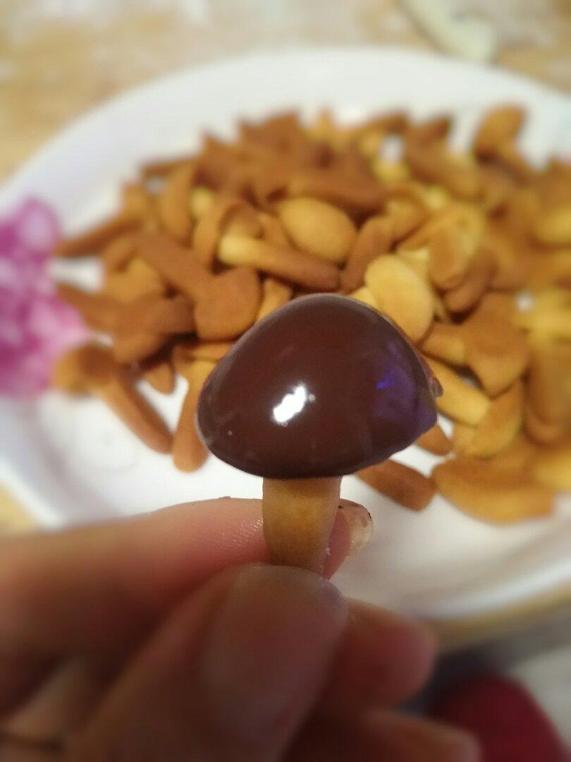 蘑菇力饼干