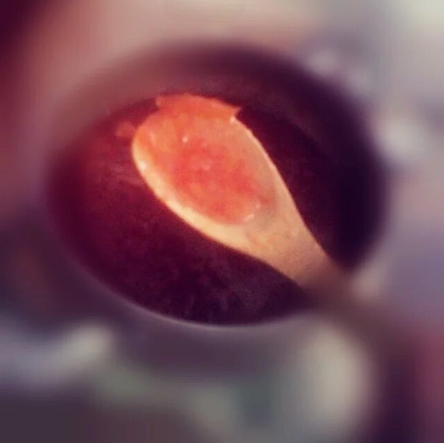 柠檬橙子果酱 Lemon & Orange marmalade