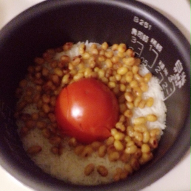 整个番茄饭