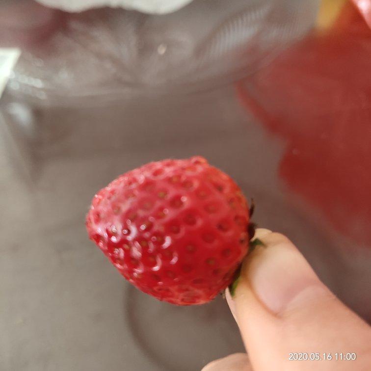 种植小技巧(记录生活记录美)