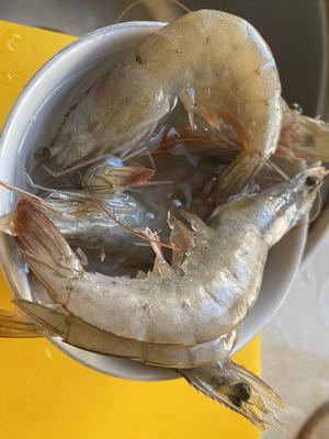 百搭食材——海白虾的做法 步骤1