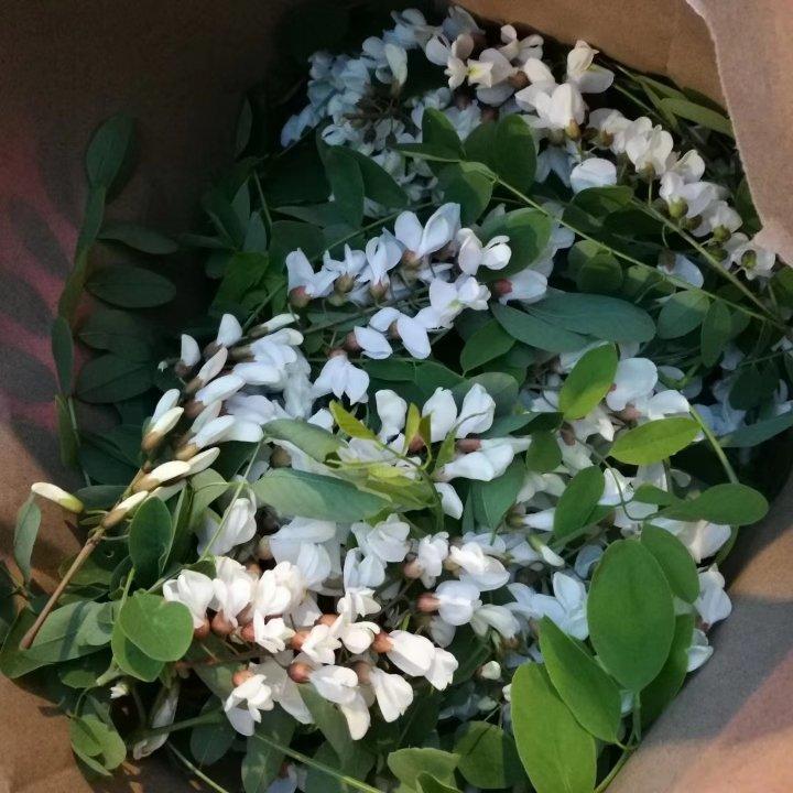 少面粉少盐的槐花饼