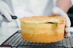 烘焙地球村——网红爆浆海盐奶盖蛋糕的做法 步骤9