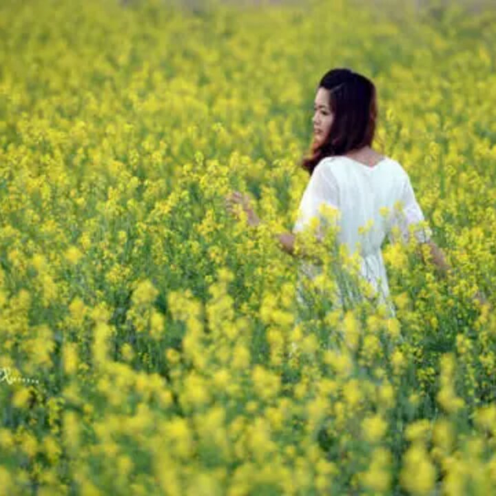 oaq琴