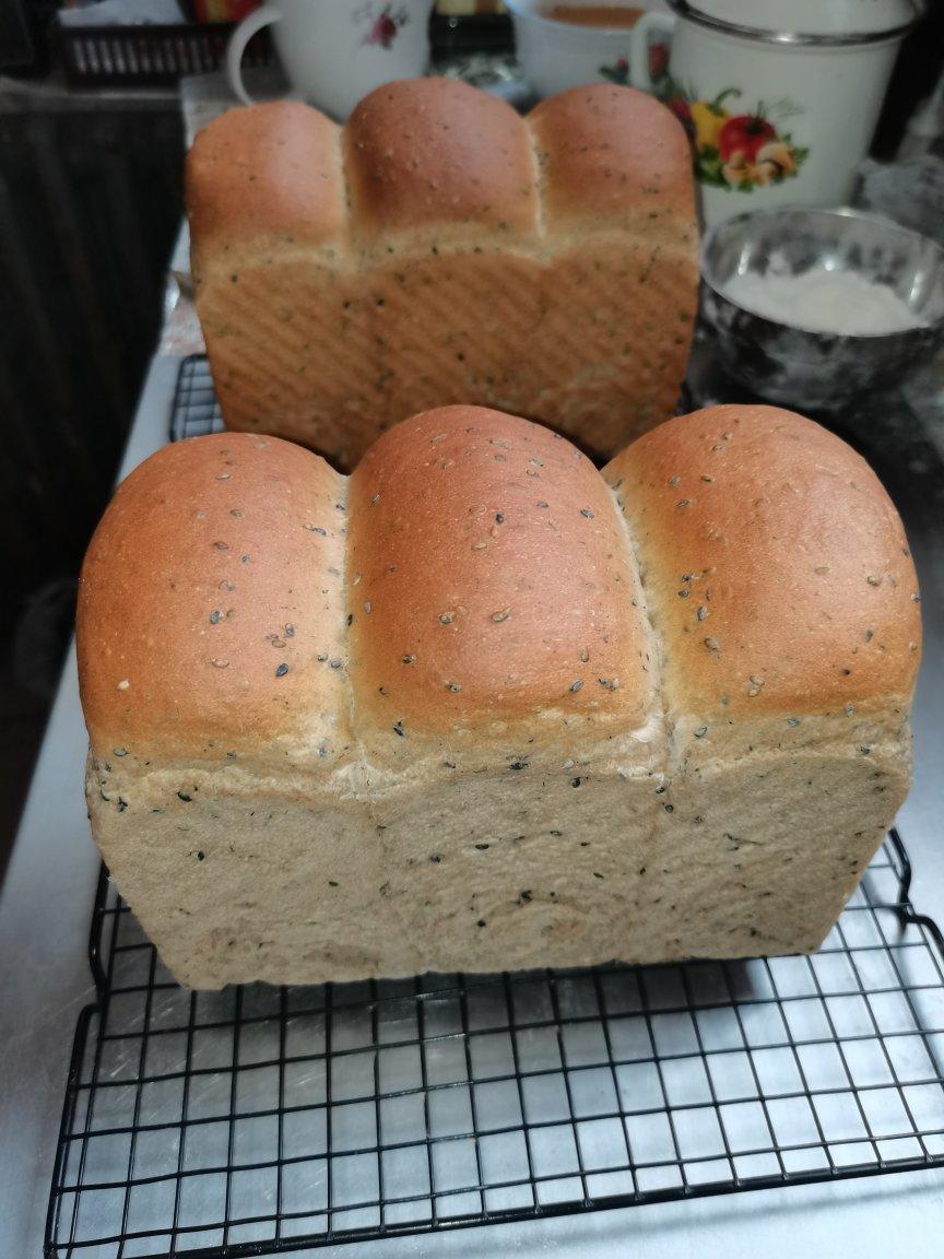 双种芝麻全麦吐司 100%全麦 烫种+波兰种