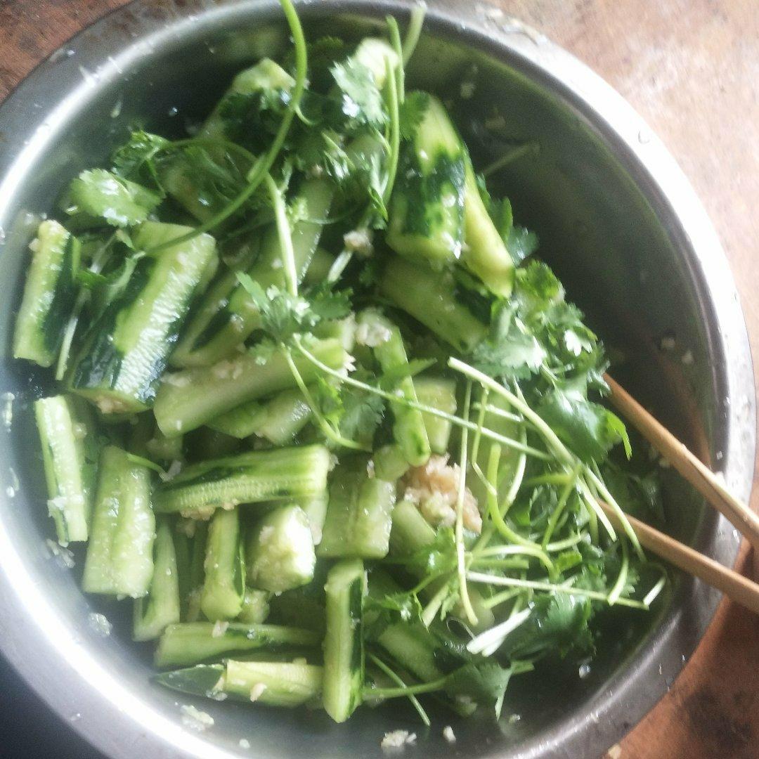 拍黄瓜