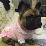 eliza颜颜