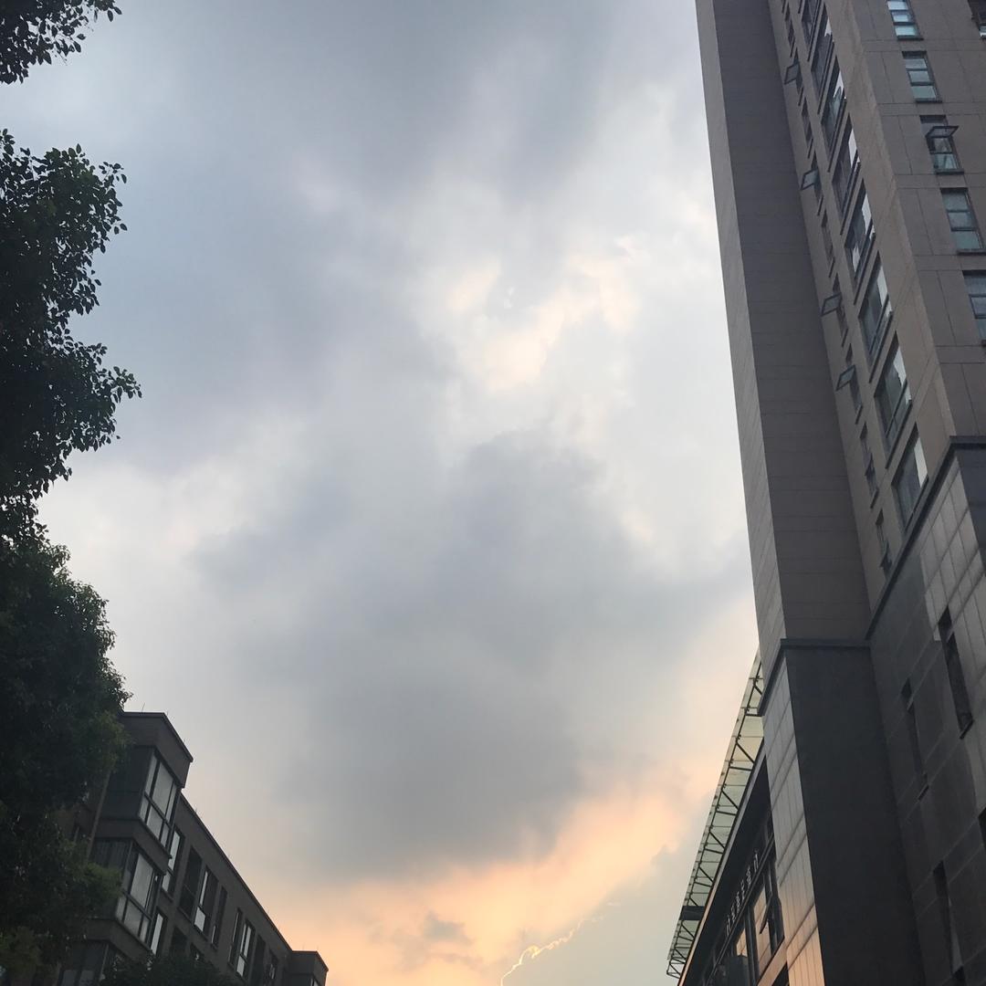 阳光-433