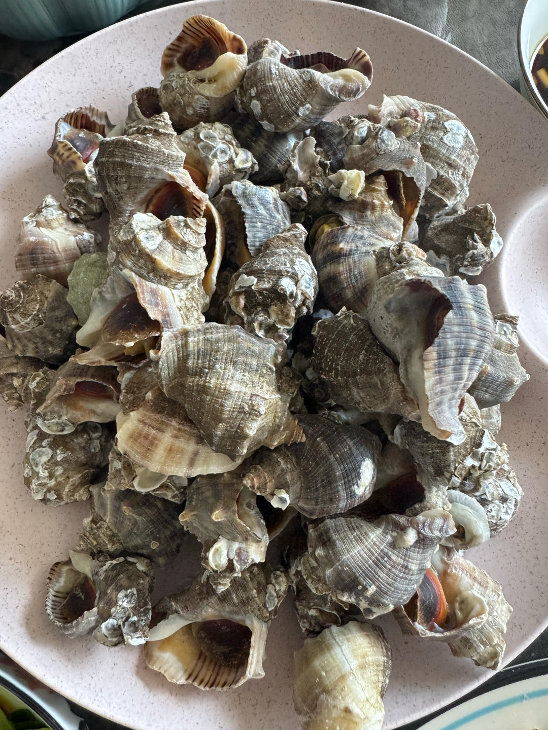 水煮海螺（附海螺的挑选方法）
