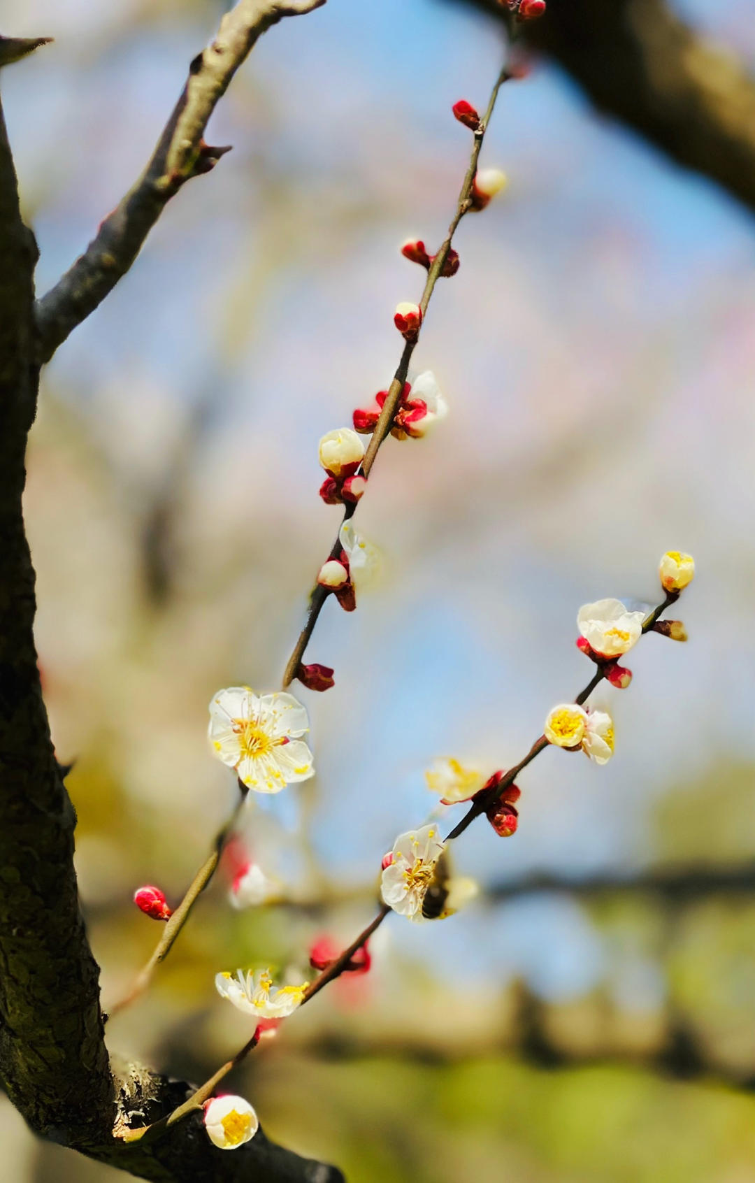 我的花花世界………
