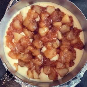 苹果酥粒蛋糕Apfelkuchen mit Streusel的做法 步骤15