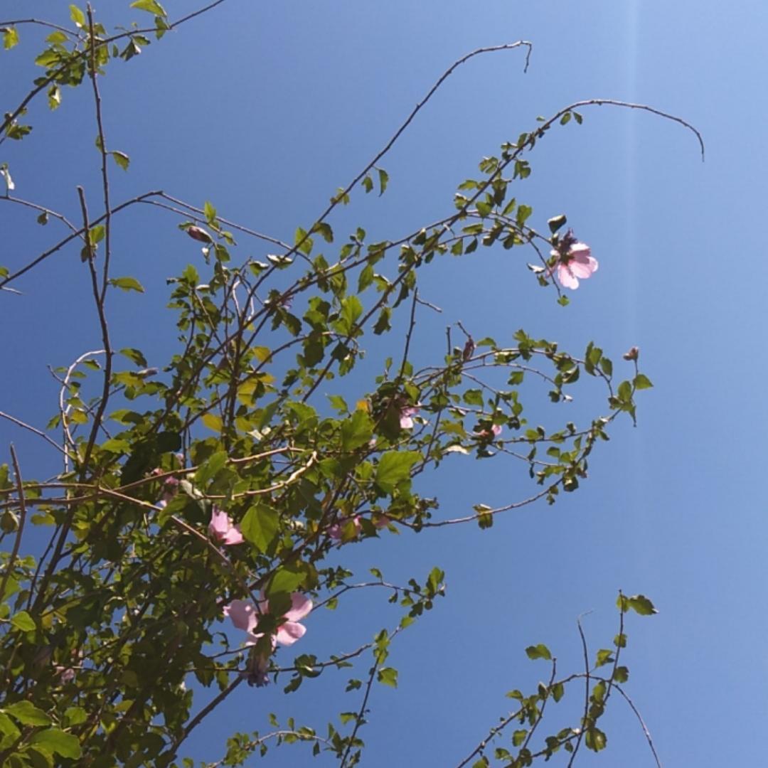 我叫Z优秀