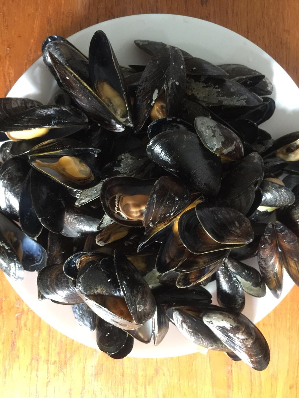 标点人生0做的最简单,快手的原汁原味海虹