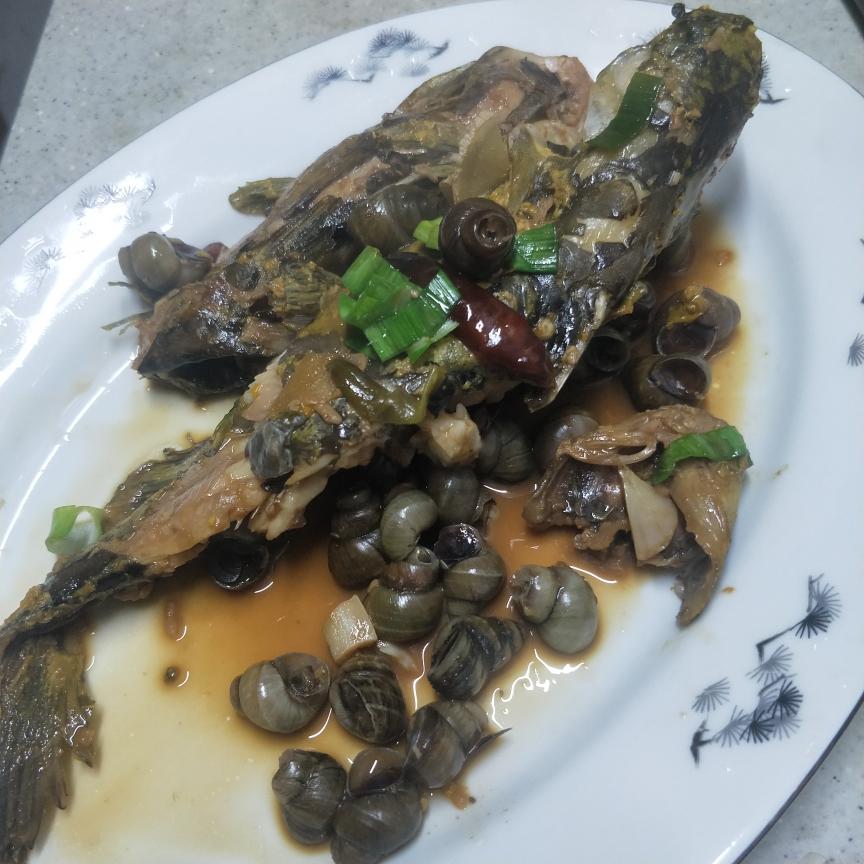 黄刺鱼烧螺蛳
