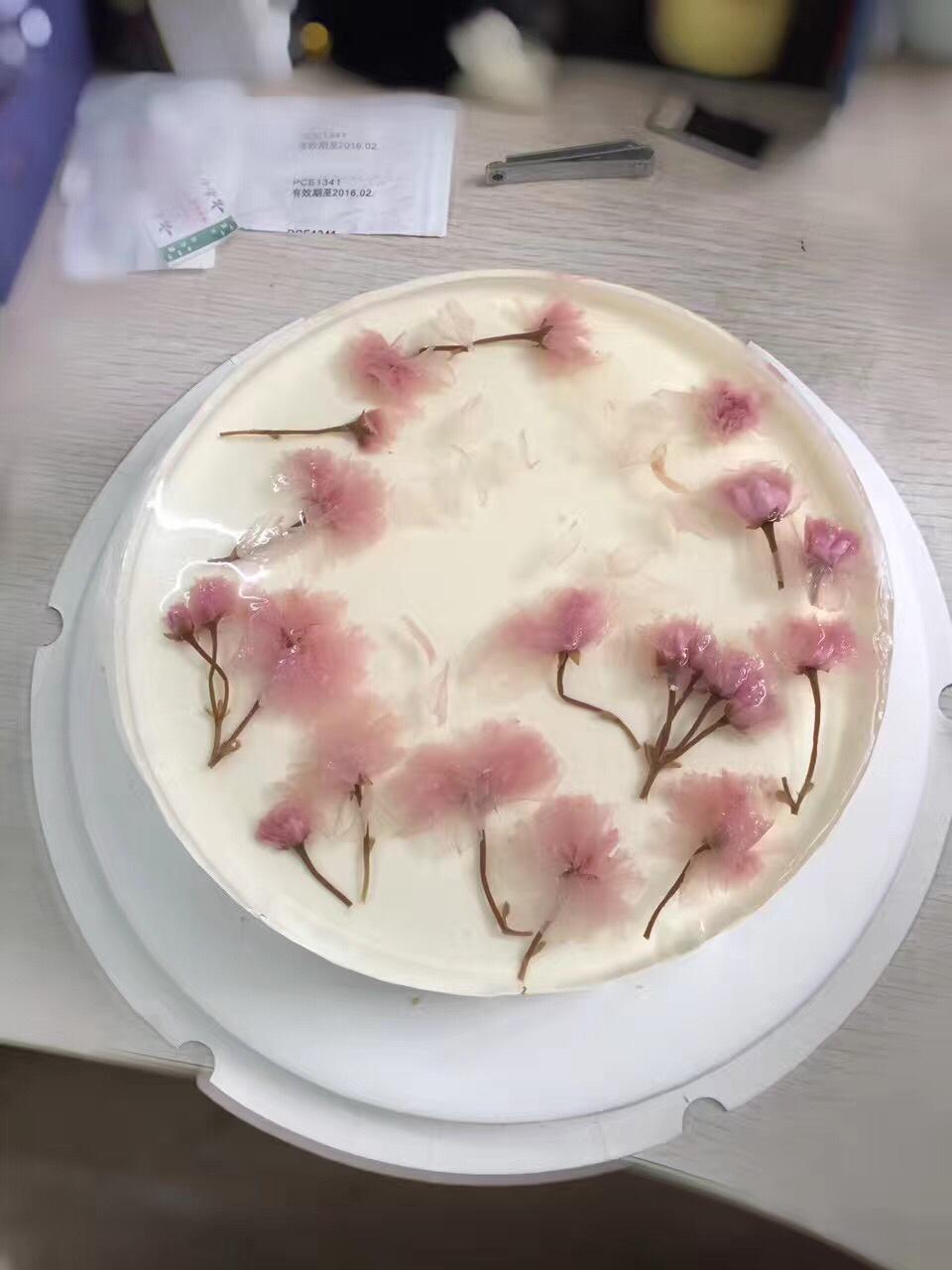 樱花酸奶慕斯蛋糕（免烤）