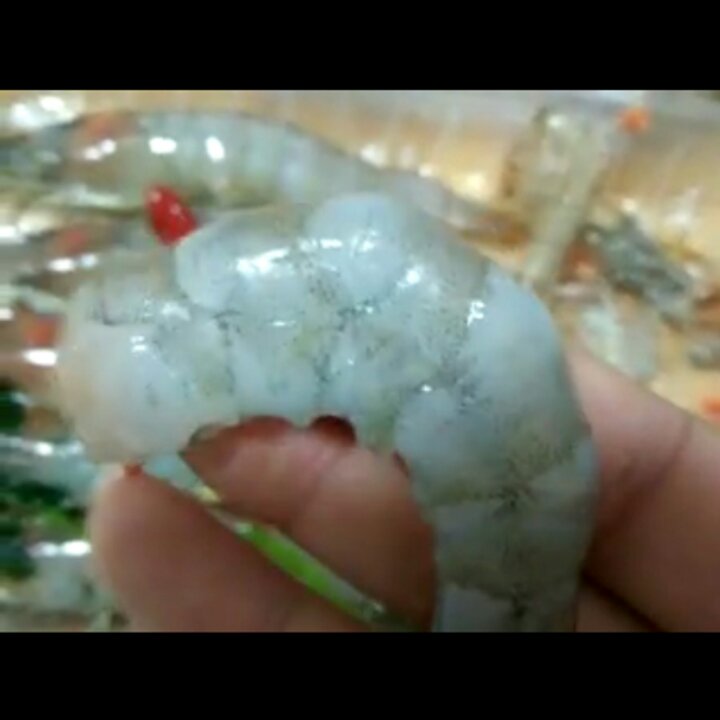 自己在家也可以做海鲜汇