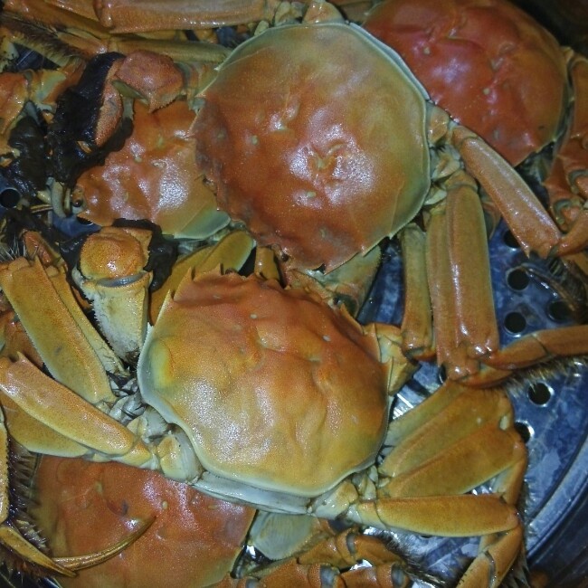 清蒸大闸蟹
