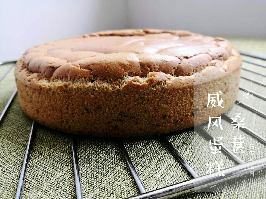 桑葚果酱戚风蛋糕