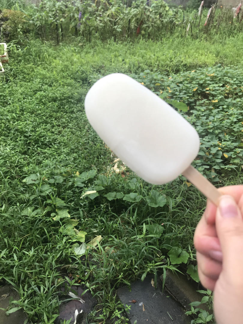解暑的老冰棍来啦☀️