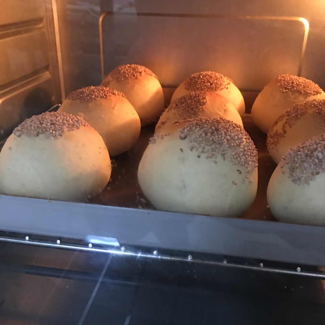 汉堡胚 poolish（波兰种）