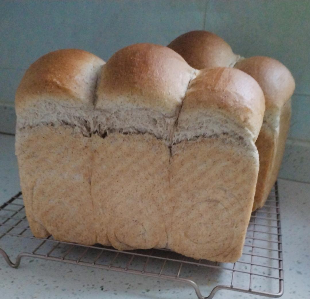 黑全麦波兰种吐司，这么柔软简直怀疑你是个假全麦！