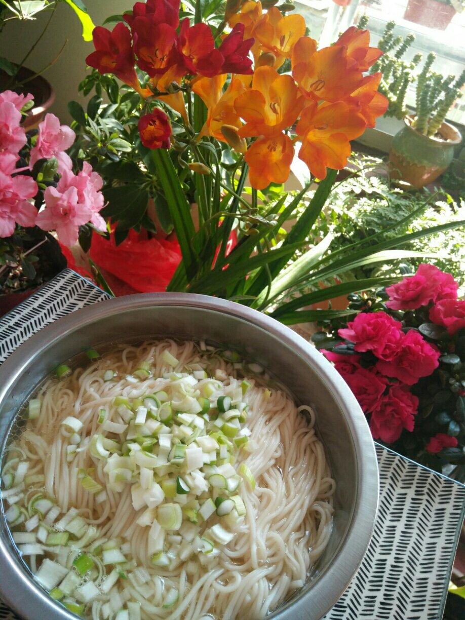 最美不过那碗阳春面